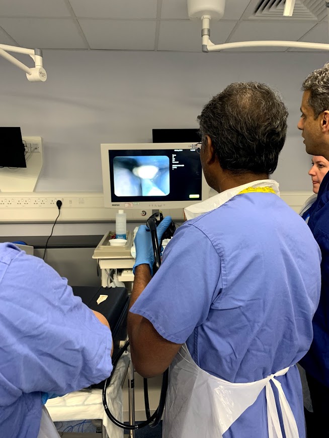 Latest Updates from the Yorkshire School of Endoscopy Hull University