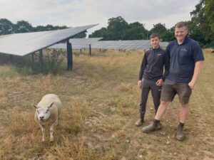 Ollie and Grant Bailey standing with a sheep in solar field