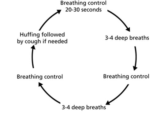 Diagram showing the ABCT cycle
