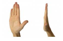 Image of finger/thumb extension exercise