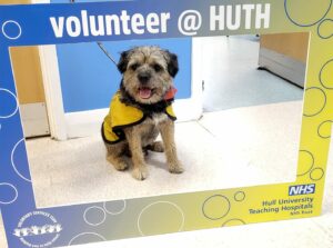 a dog wearing a yellow coat